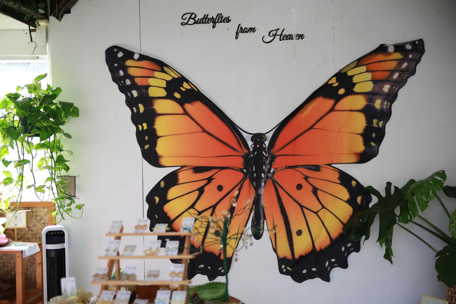 Butterflies from Heaven