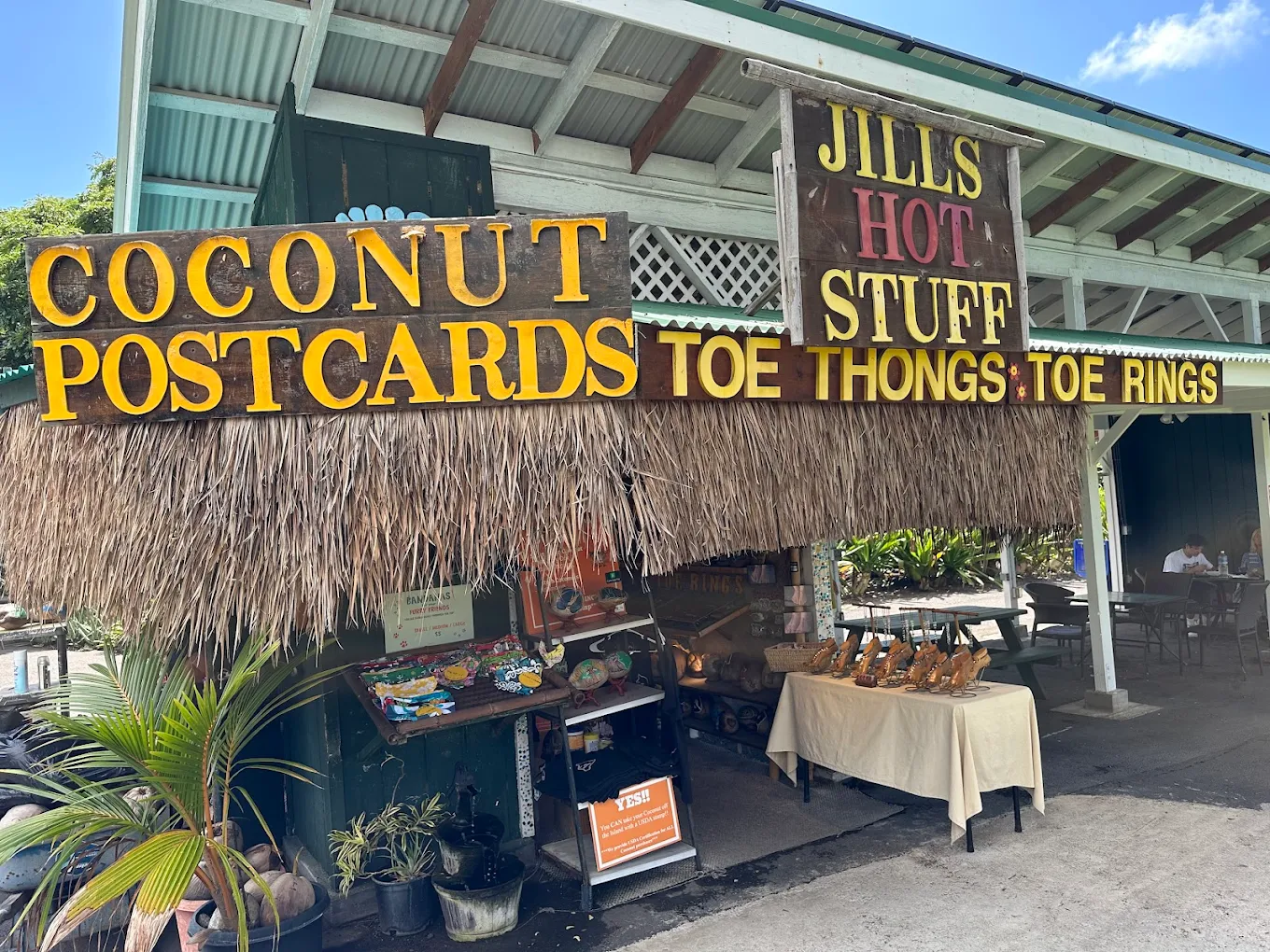Coconut Postcards