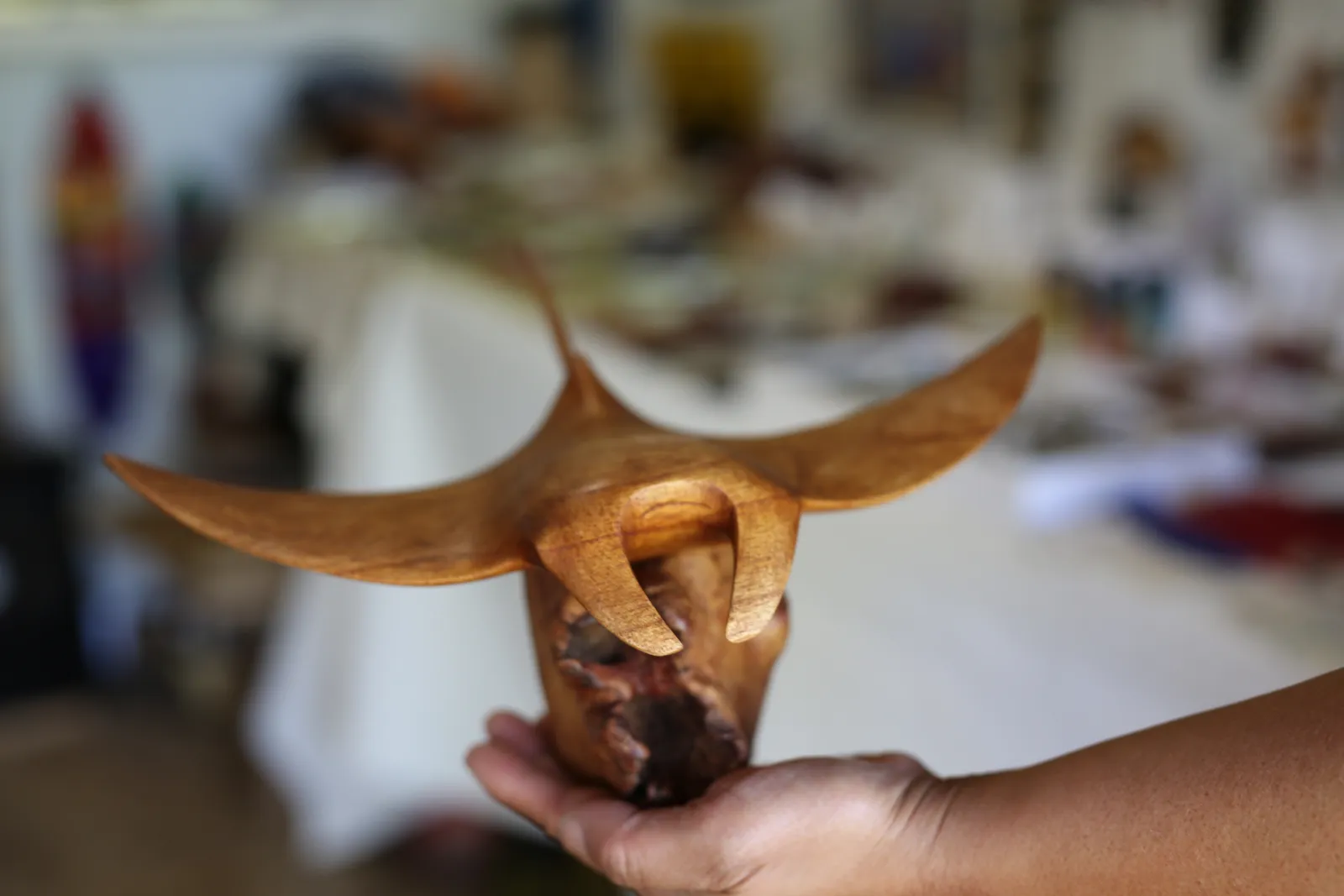 Manta Ray Carvings